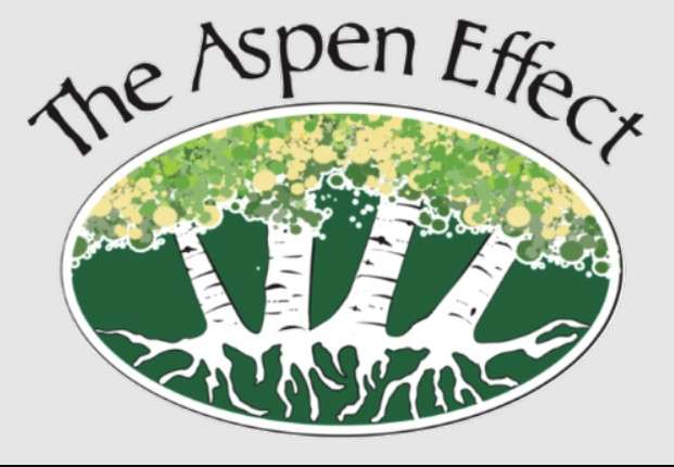The Aspen Effect