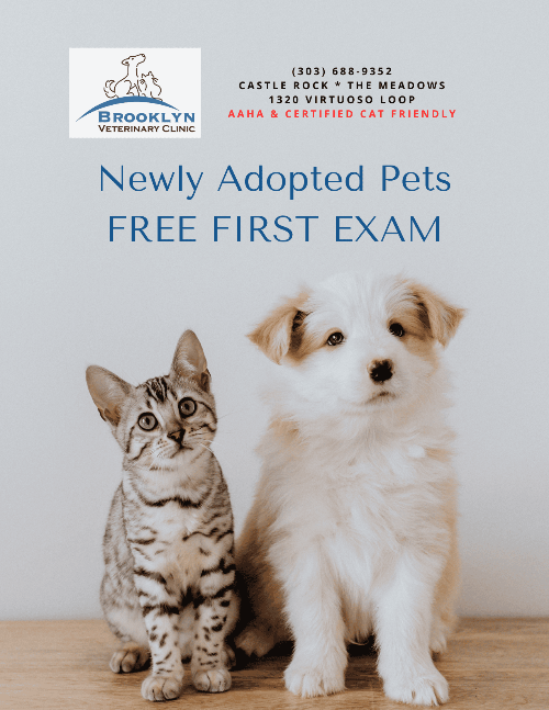 Free First Exam for Newly Adopted Pets!