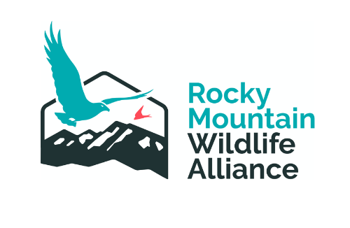 Rocky Mountain Wildlife Alliance