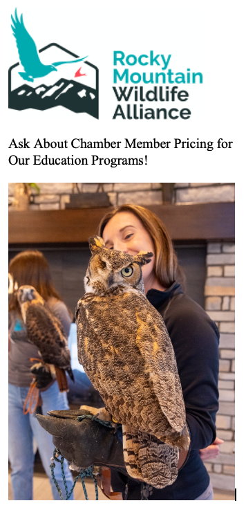 Special Chamber Offer!