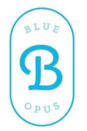 Blue Opus Interiors