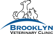 Brooklyn Veterinary Clinic